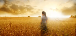 alimentación ecológica