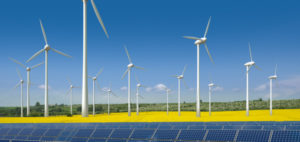 emprendedores ecológicos