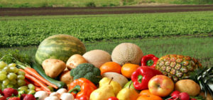 Alimentos ecológicos: Características, ventajas y certificación