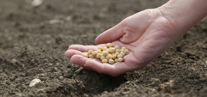 Navarra fomentará el sector ecológico