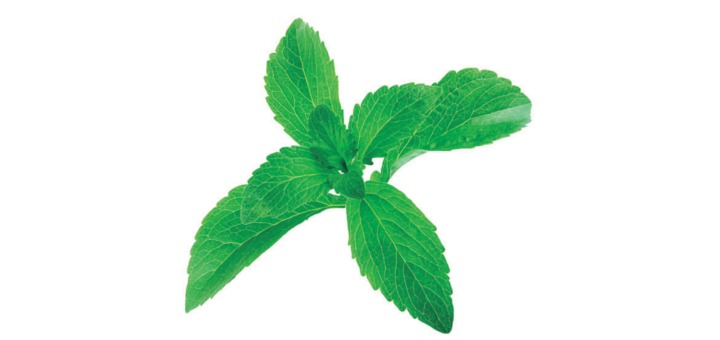 propiedades de la stevia