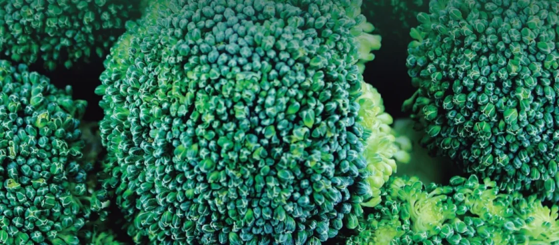 propiedades del brócoli