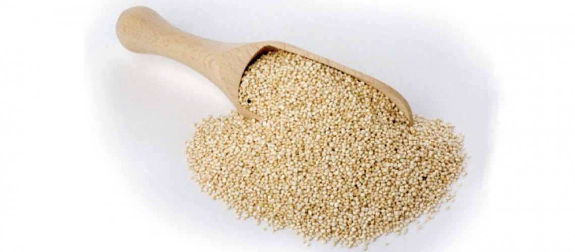propiedades de la quinoa